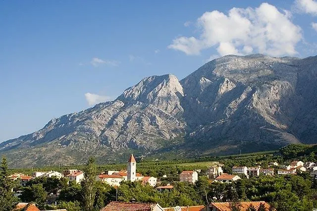 Danese * Promajna
